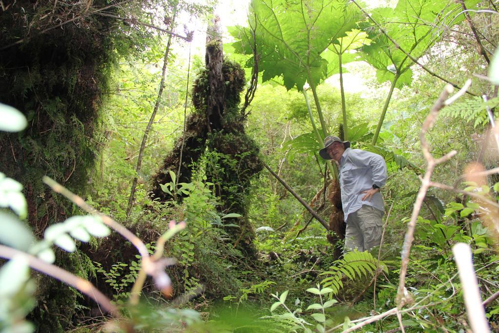Posada Queulat Puyuhuapi Zewnętrze zdjęcie