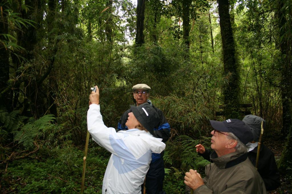 Posada Queulat Puyuhuapi Zewnętrze zdjęcie